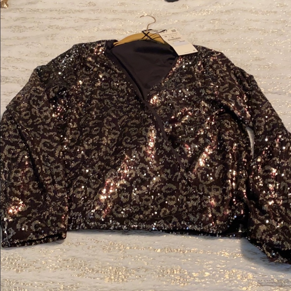 NWT Zara sequin blouse